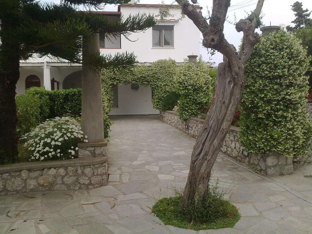 Il Merlo Bed and breakfast 2*